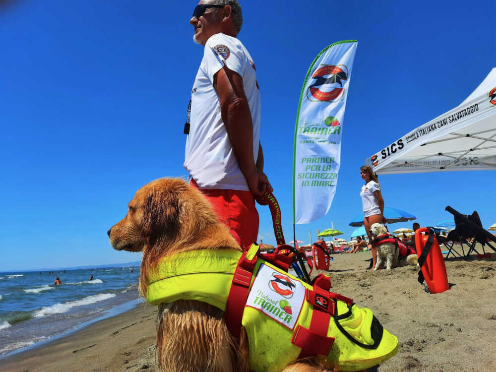 cagnoloni sics (2) cagnoloni sics