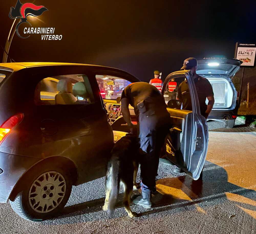 carabinieri montalto marina (1) carabinieri tutela ambientale noe