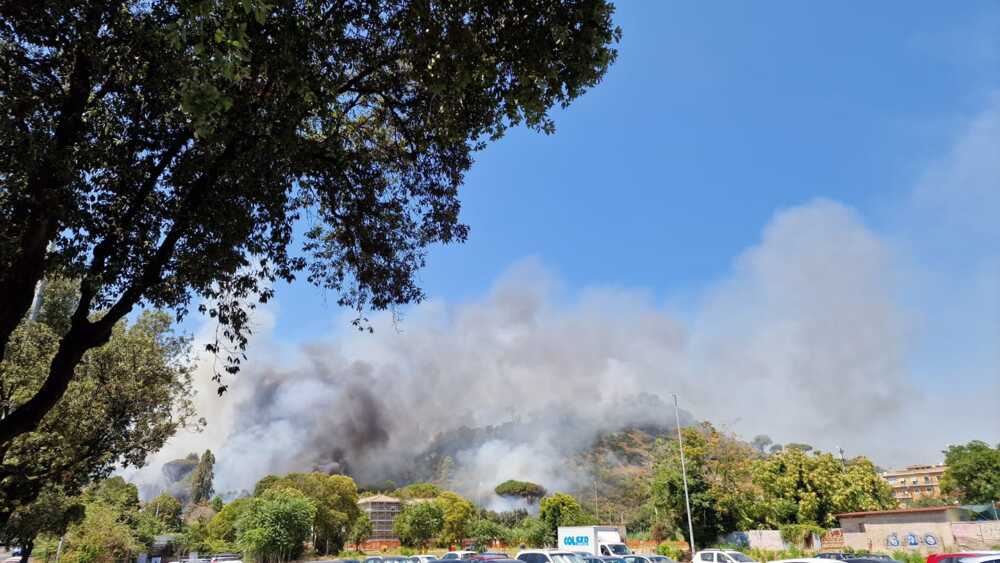 Incendio a Roma, alta colonna di fumo nero vicino la città giudiziaria