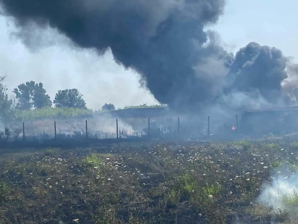 incendio ladispoli incendio ladispoli