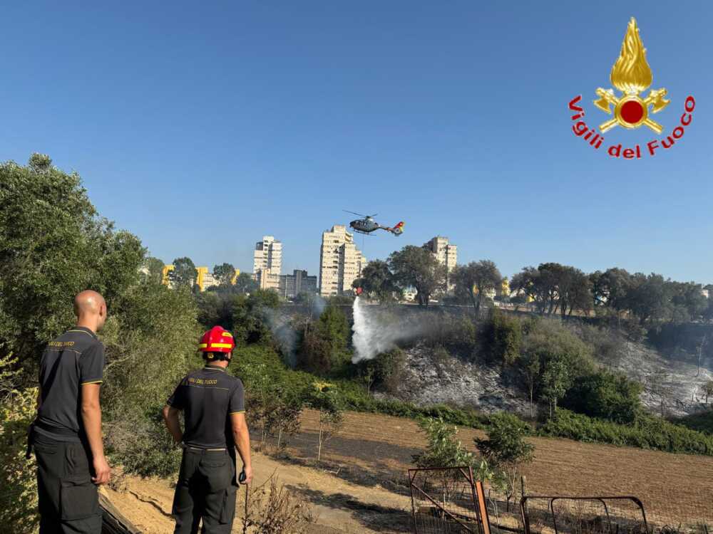 incendio sterpaglie monte mario vvf vigili fuoco pompieri incendio sterpaglie monte mario vvf vigili fuoco pompieri