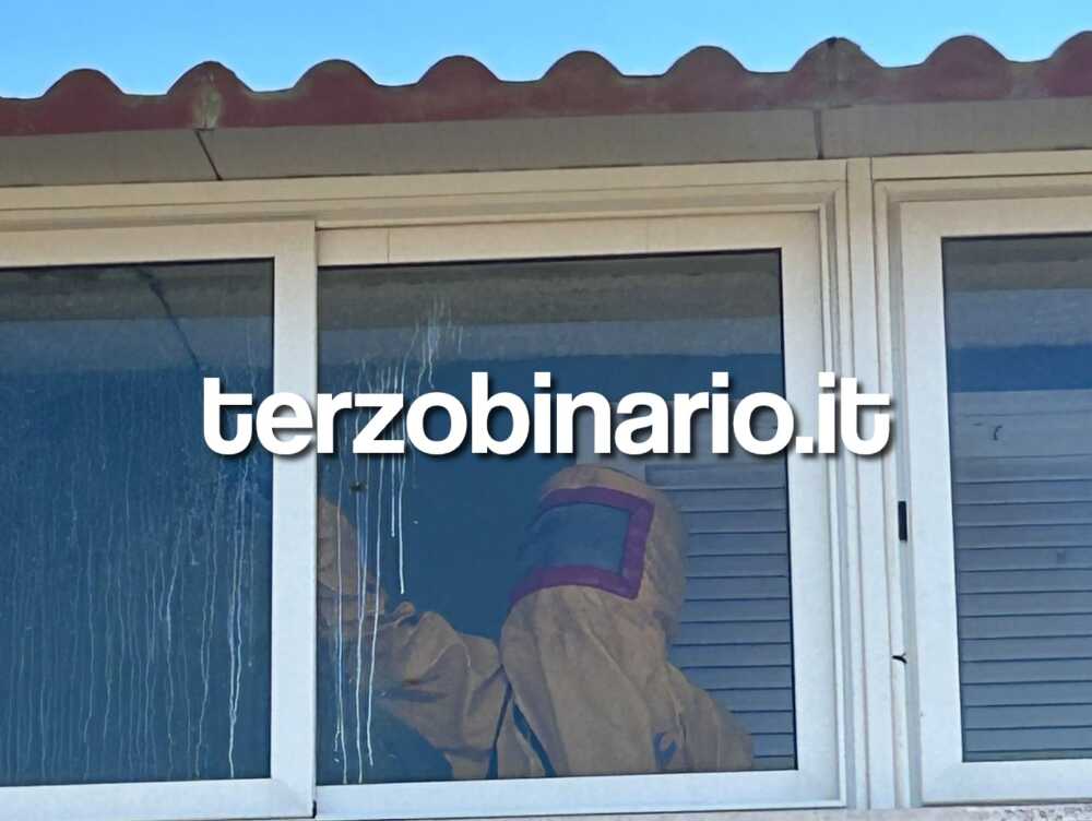 nido vespe vvf pompieri vigili fuoco ladispoli