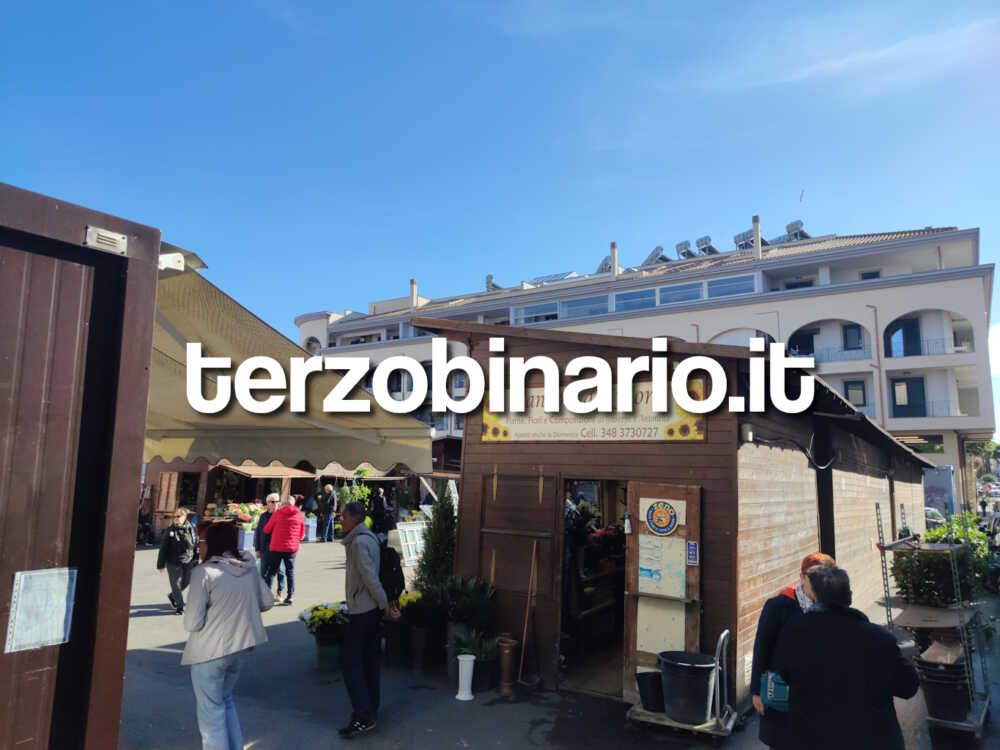 mercato piazza XXIV maggio civitavecchia mercato (11)