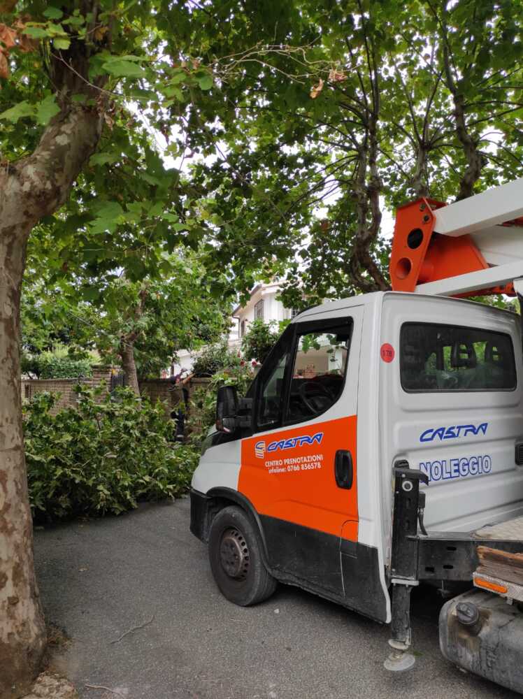 ramo platano santa marinella servizi severa ramo platano santa marinella servizi severa