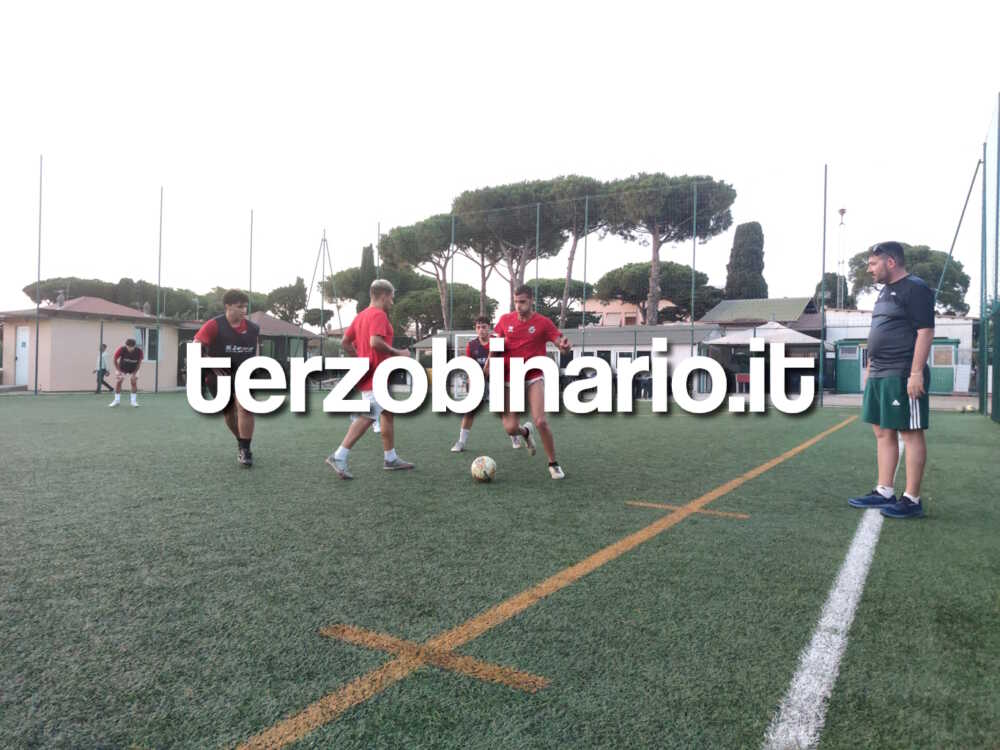 santomassimo amato di gabriele santomassimo amato di gabriele