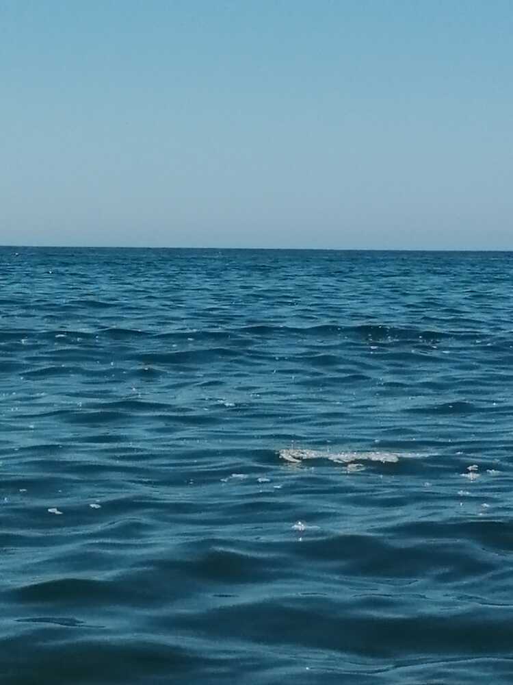 schiuma mare ladispoli lungomare regina elena schiuma mare ladispoli lungomare regina elena