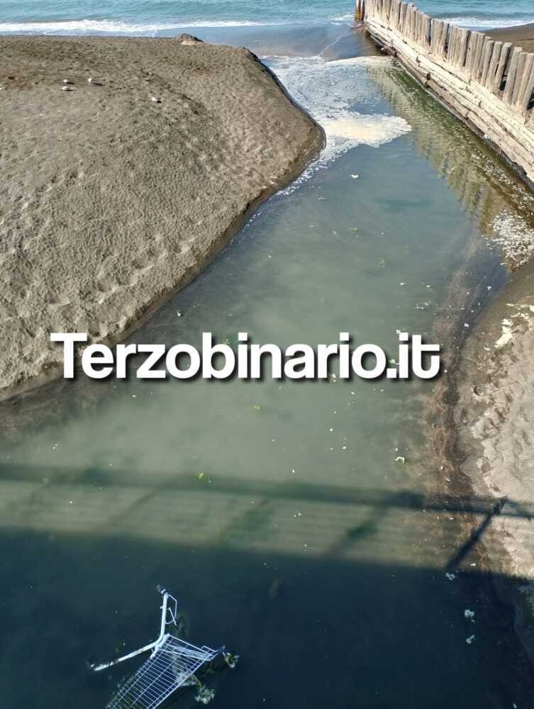 schiuma mare ladispoli sanguinara carrello spesa