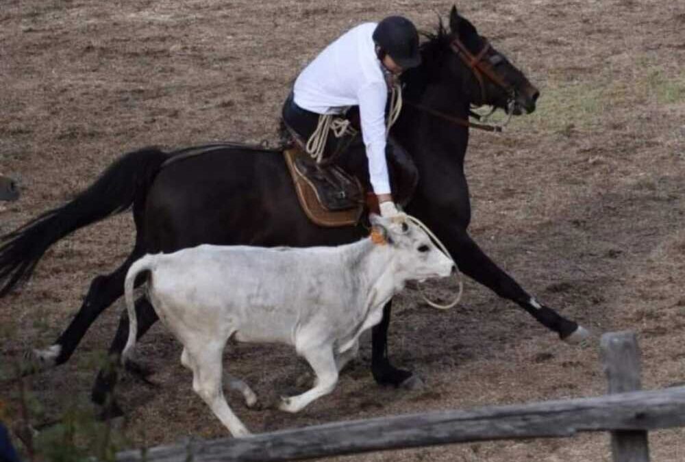 Tolfa verso il Torneo dei Butteri: domani sfilata dei cavalieri e cena dei rioni