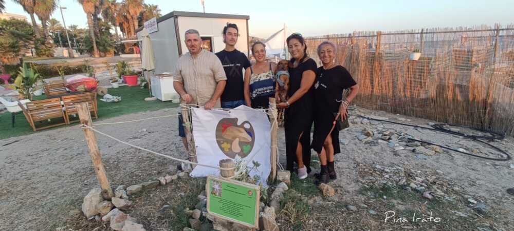 bioma civitavecchia giglio di mare (2) bioma civitavecchia giglio di mare (1)