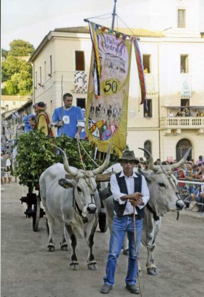 carroccio palio allumiere