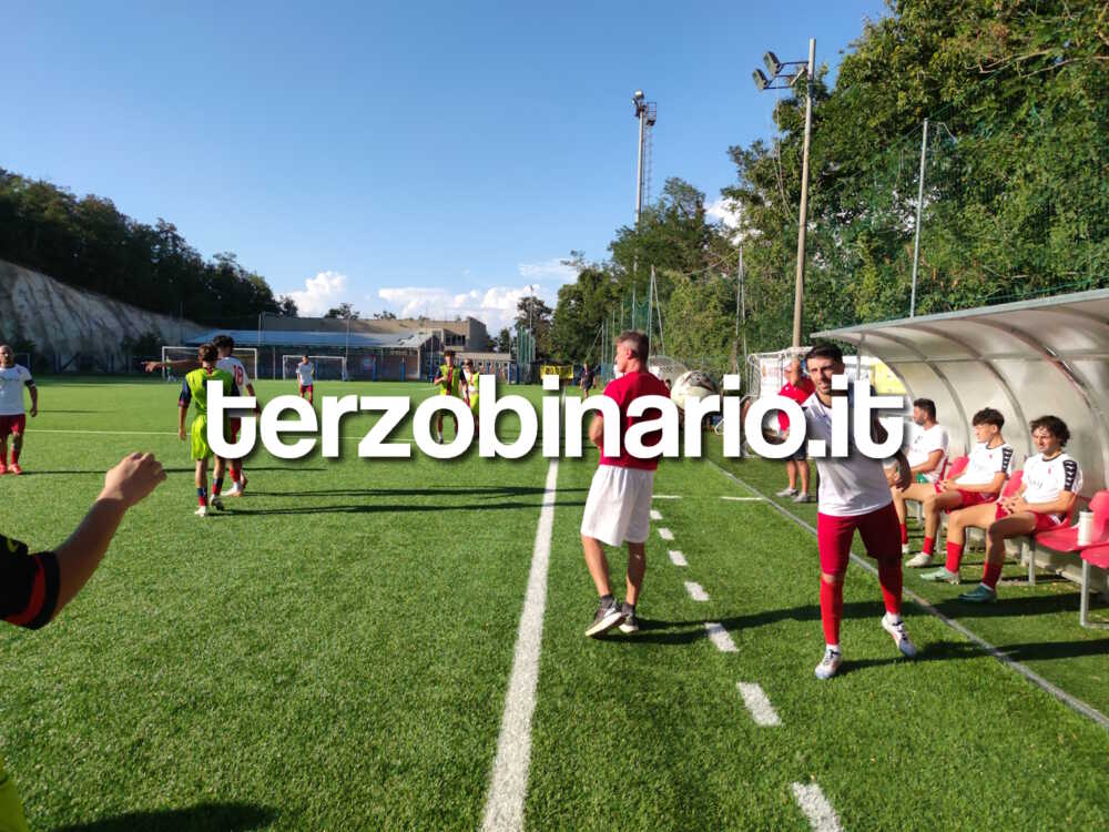 macaluso fagioli panchina tolfa