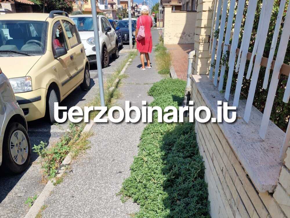 marciapiede ladispoli marciapiede ladispoli