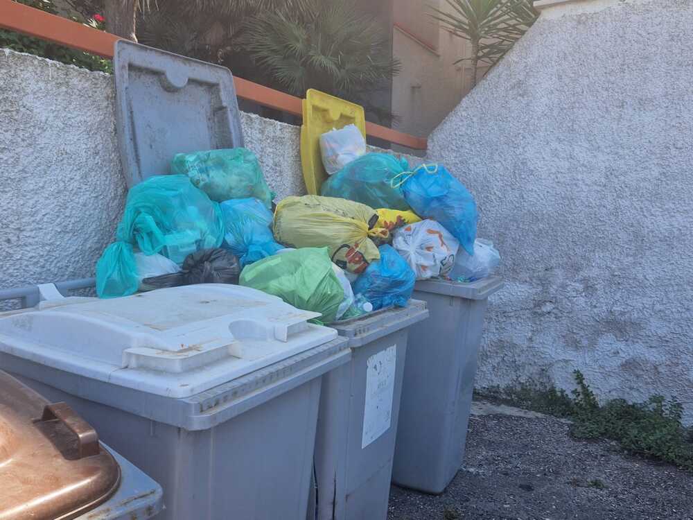 rifiuti differenziata santa marinella severa