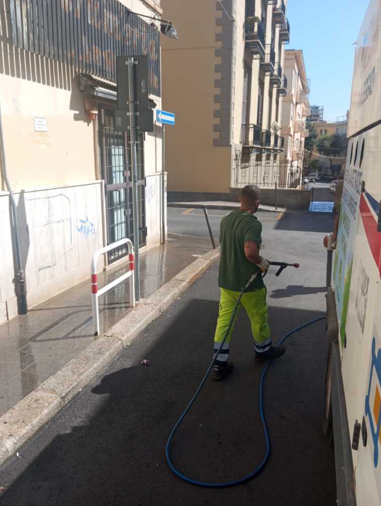 Mercato pulizia csp civitavecchia