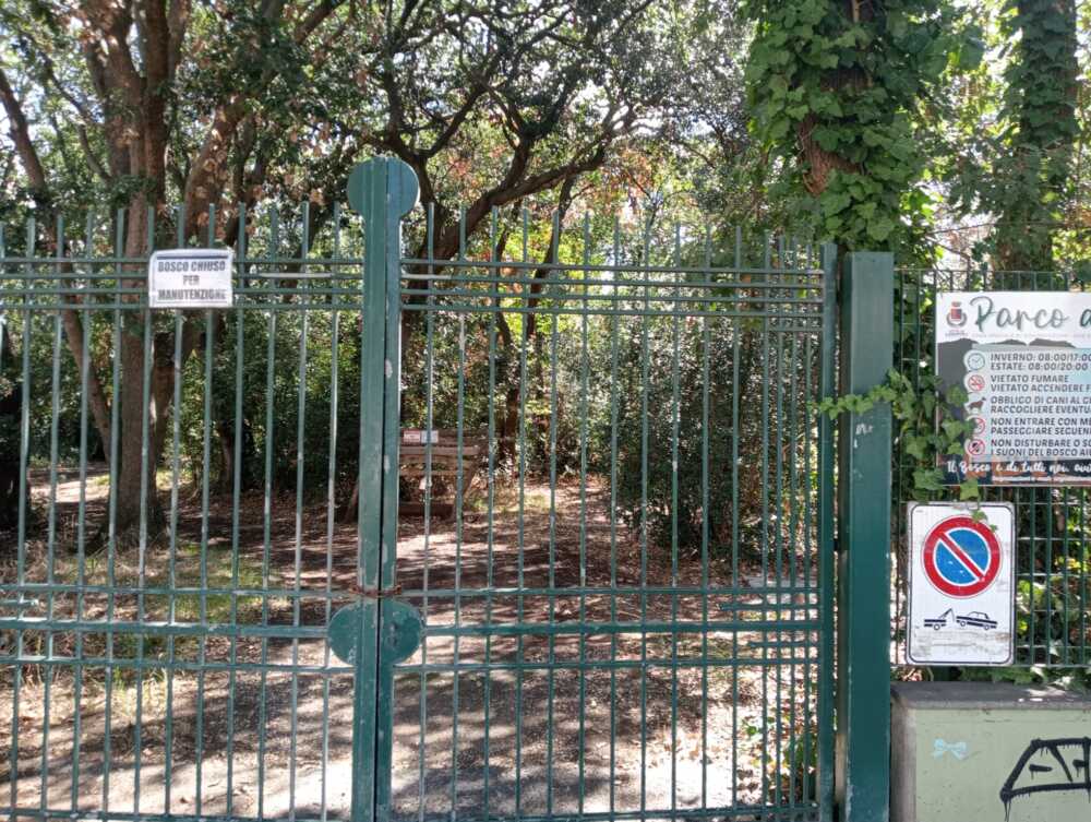 cancello ingresso bosco palo