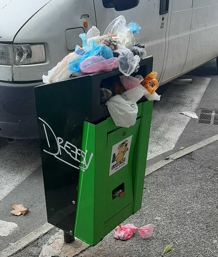 cestini stracolmi rifiuti abbandonati ladispoli (2)