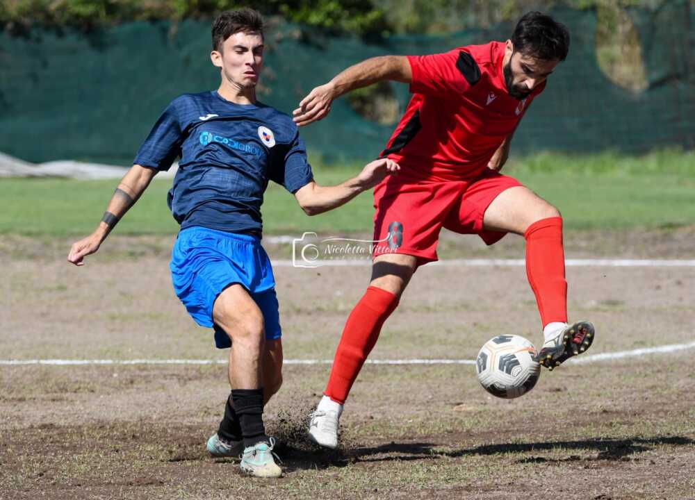 nuti tolfa 1 nuti tolfa