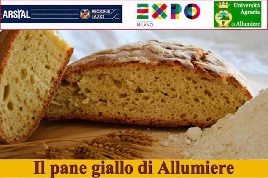pane giallo allumiere