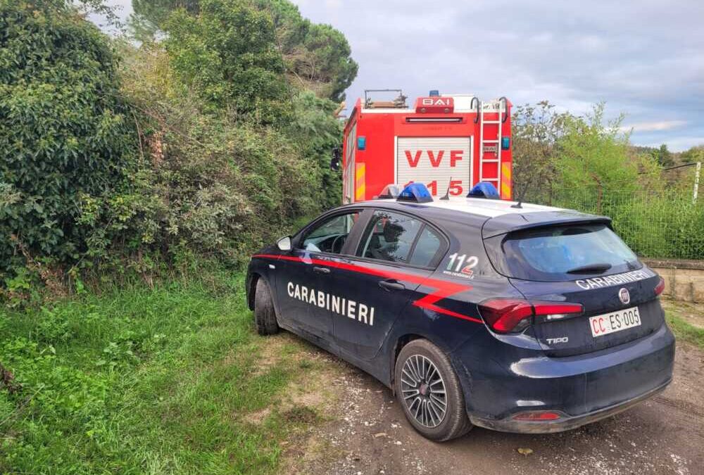 Cade un albero a Manziana, tre famiglie isolate
