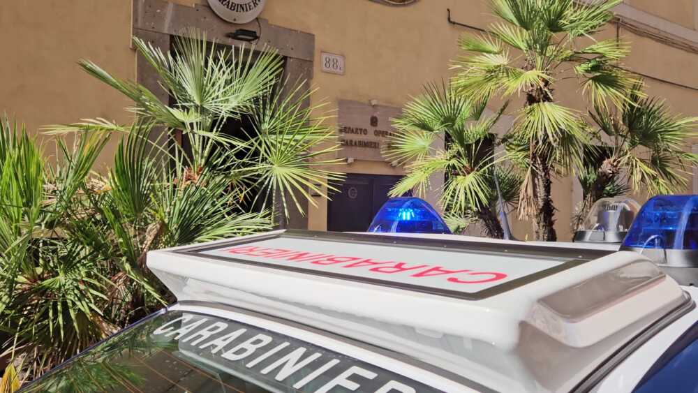 NINV - Le operazioni eseguite dai Carabinieri (2)
