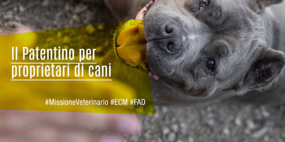 Patentino-per-proprietari-cani-pericolosi Patentino-per-proprietari-cani-pericolosi