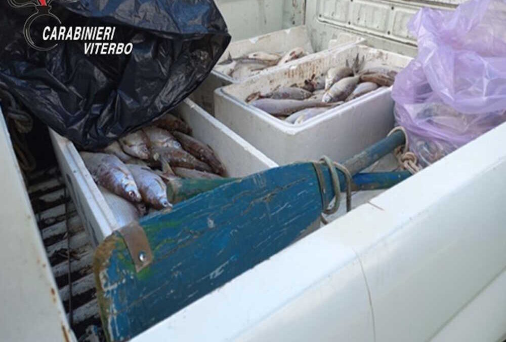 Pescatori di frodo sul lago di Vico abbandonano la barca, recuperata dai Carabinieri