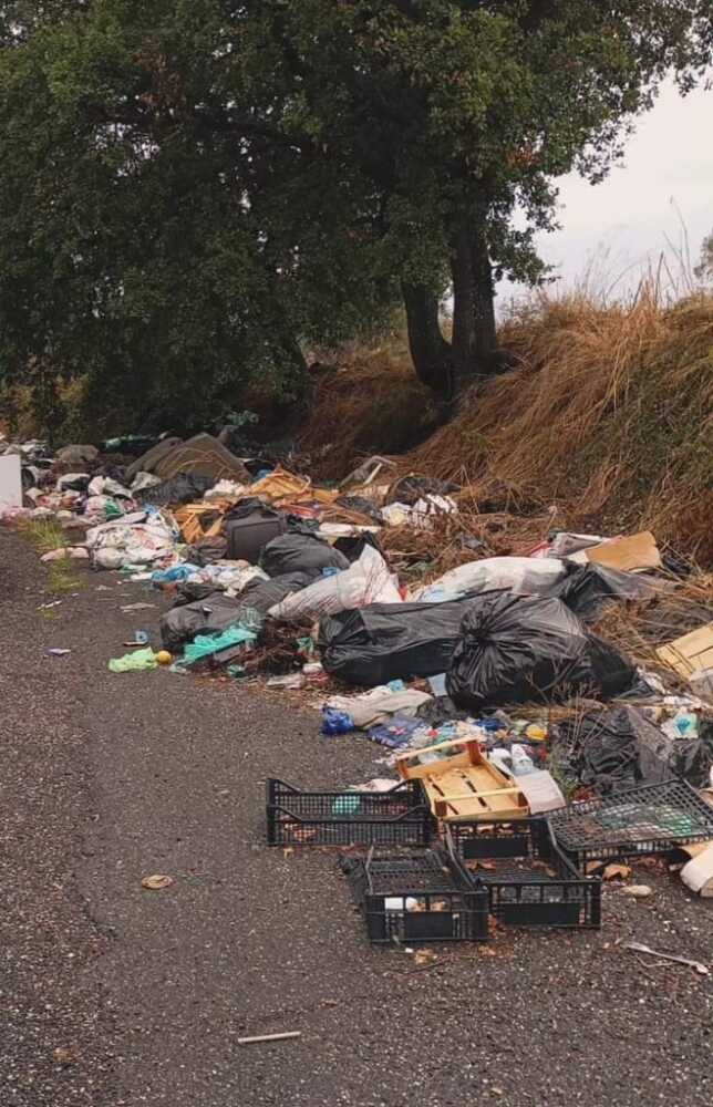 discarica rifiuti immondizia settevene cerveteri
