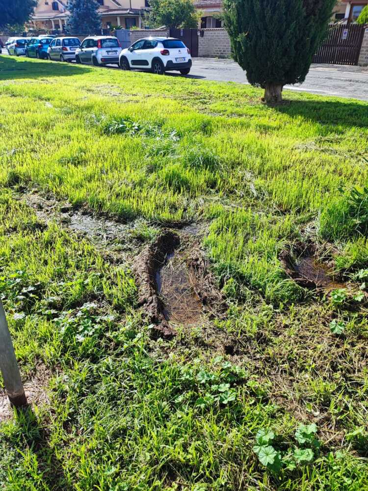 palude perdita viale mediterraneo ladispoli 1 palude perdita viale mediterraneo ladispoli 1