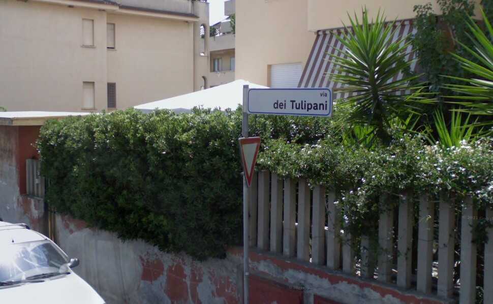 via tulipani santa marinella