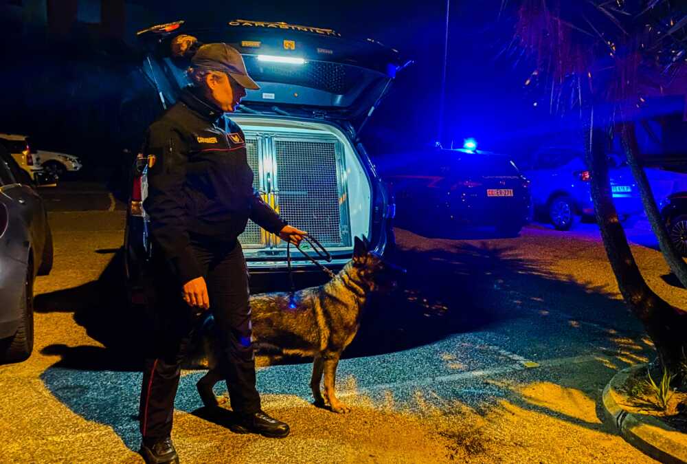 OSTIA - Operazione antidroga dei Carabinieri cinofili