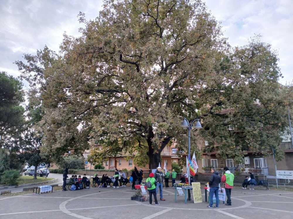 festa albero 24 scuolambiente cerveteri (1) festa albero 24 scuolambiente cerveteri (1)