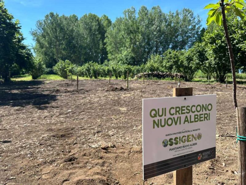 progetto ossigeno alberi