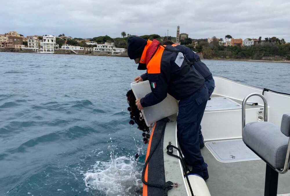 Pescatori di frodo beccati a Santa Marinella con 80kg di ricci di mare dalla Guardia Costiera