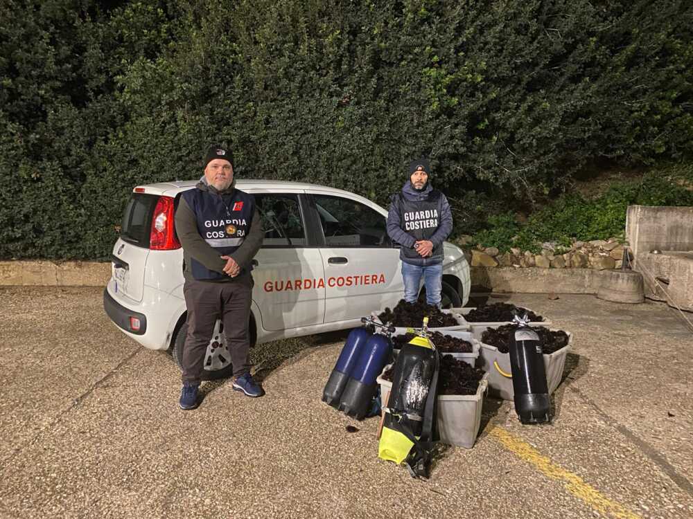 guardia costiera ricci santa marinella guardia costiera ricci santa marinella