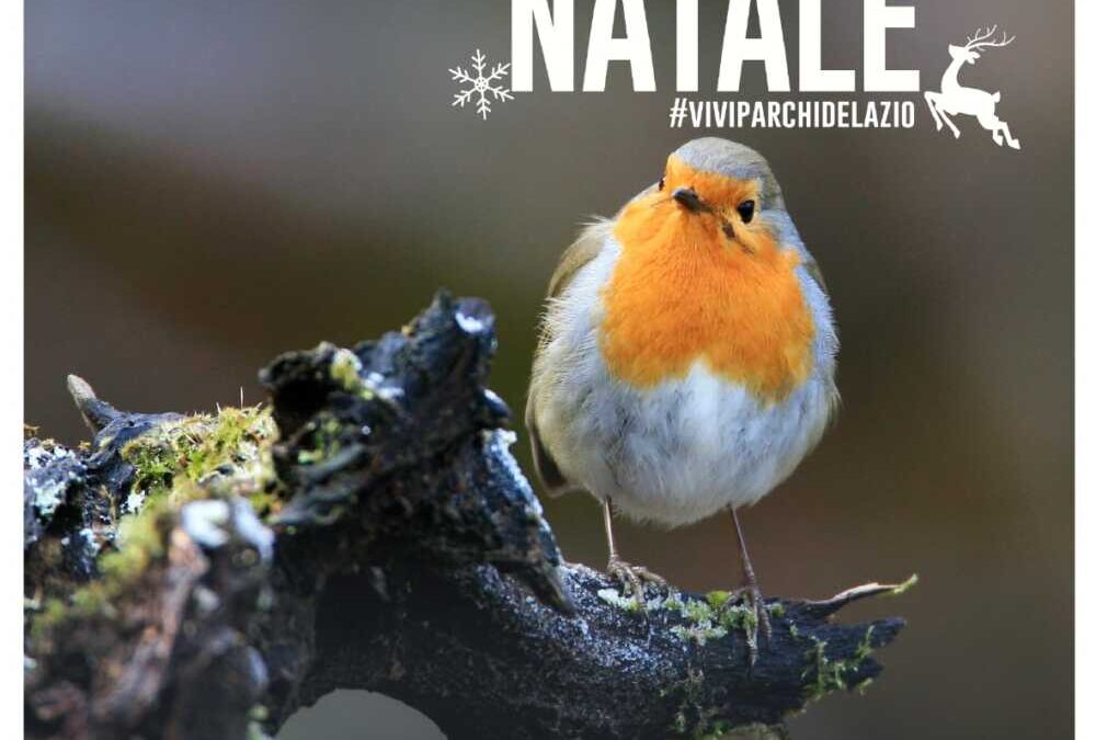 Gli eventi natalizi del Parco del Lago di Bracciano-Martignano