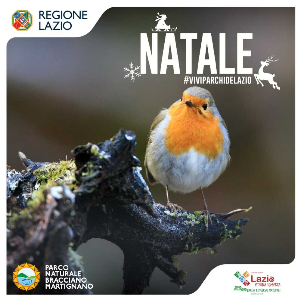 NATALE 2024 parco lago bracciano martignano