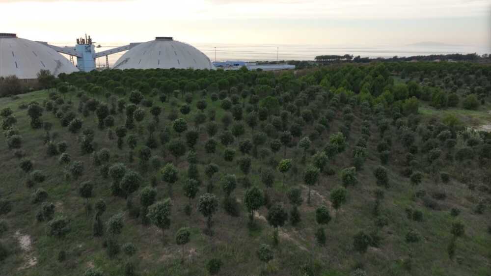 “Il Bosco Enel è una realtà da considerare”