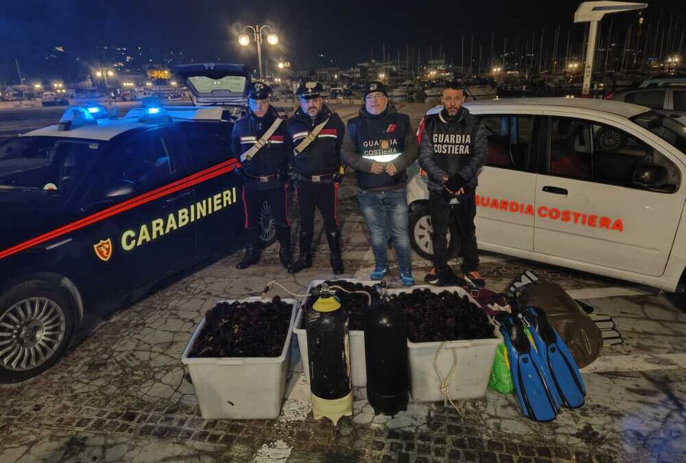 “C’è movimento alla Baia Smeralda”: la Guardia Costiera ferma tre pescatori di frodo a Santa Severa