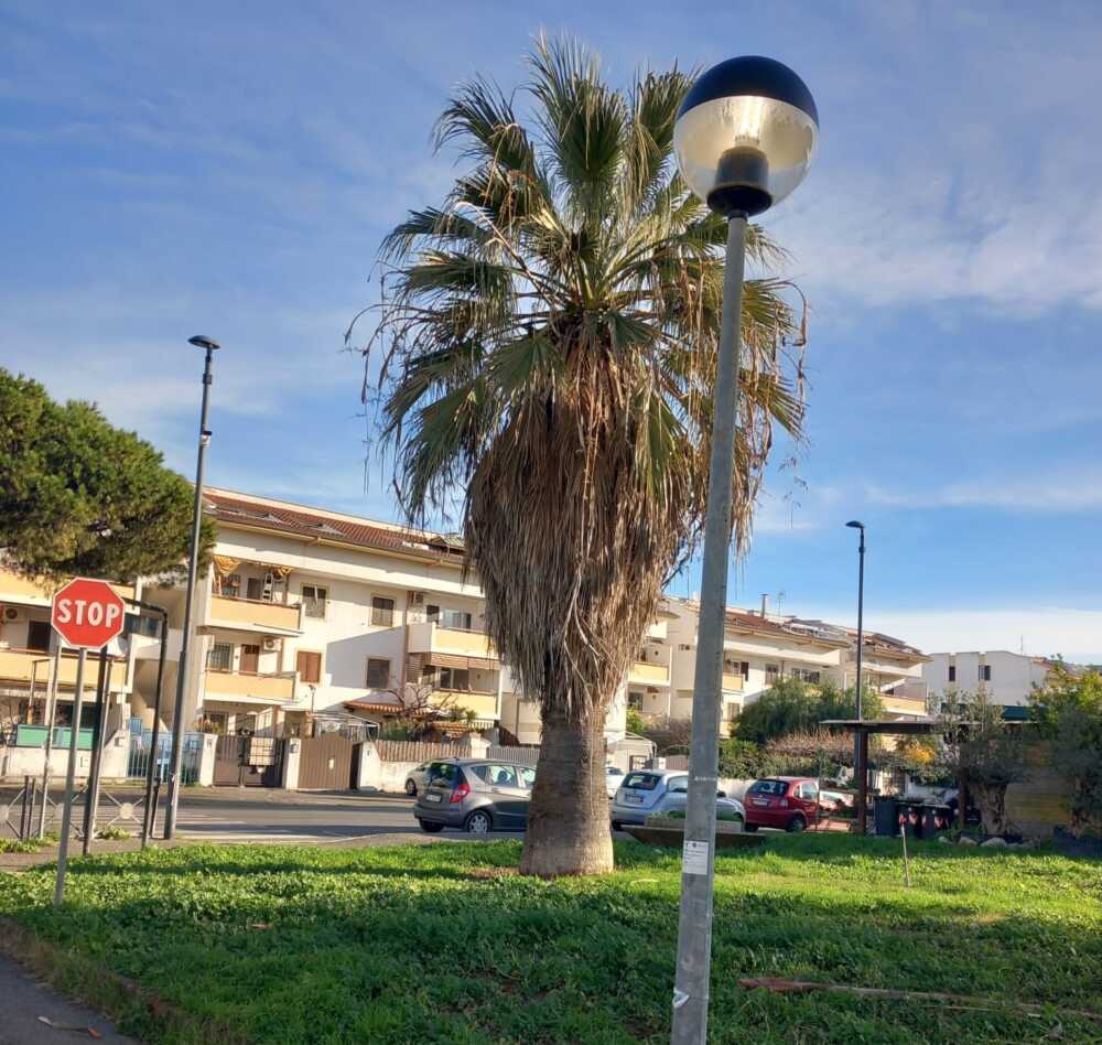 illuminazione pubblica pali luce cerenova 1 illuminazione pubblica pali luce cerenova 3