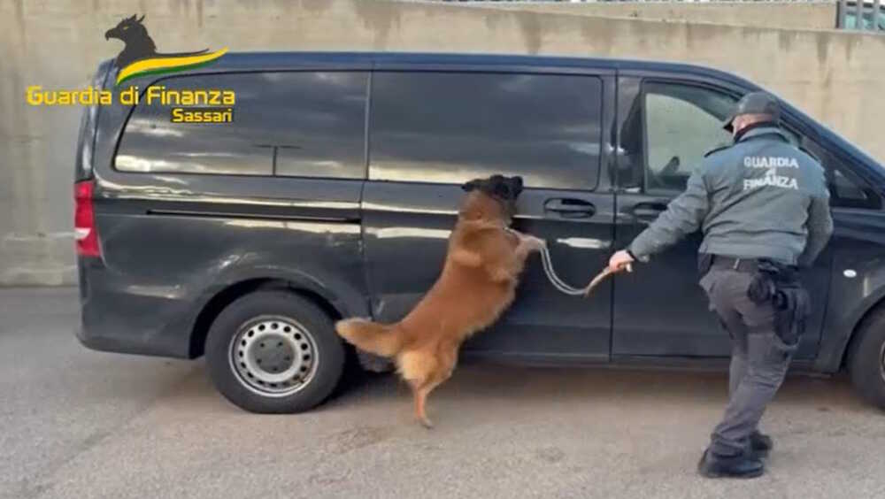 cagnolone joy finanza sassari droga minivan