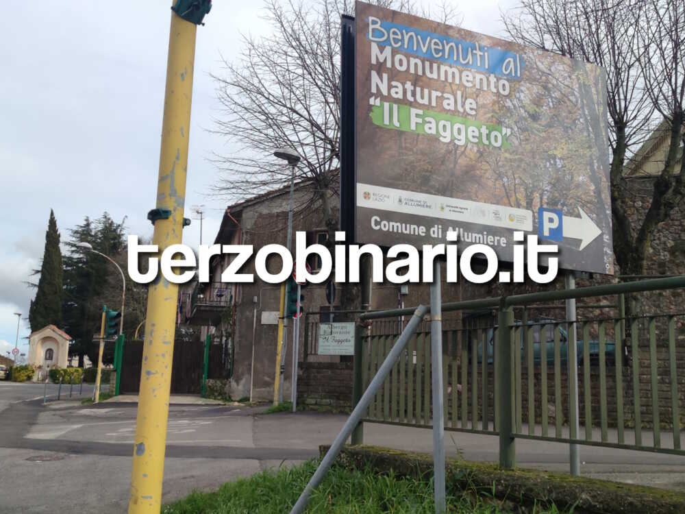 faggeto allumiere 22