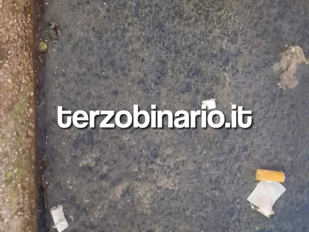 perdita via ancona 73 ladispoli 1 perdita via ancona 73 ladispoli 1