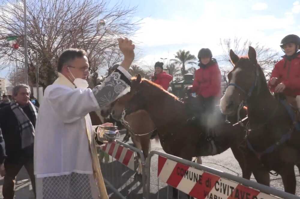 sant’antonio abate civitavecchia animali 1 sant'antonio abate civitavecchia animali