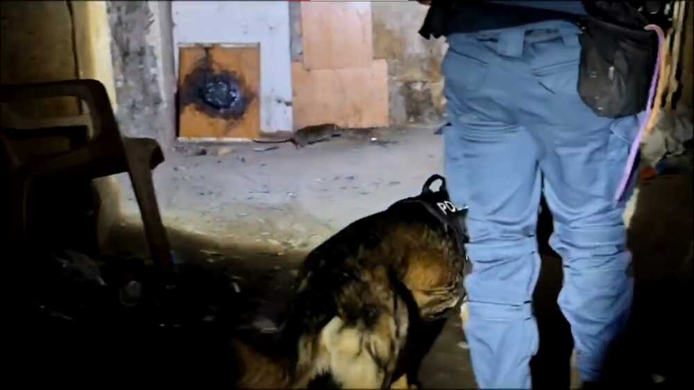 topo sgombero polizia