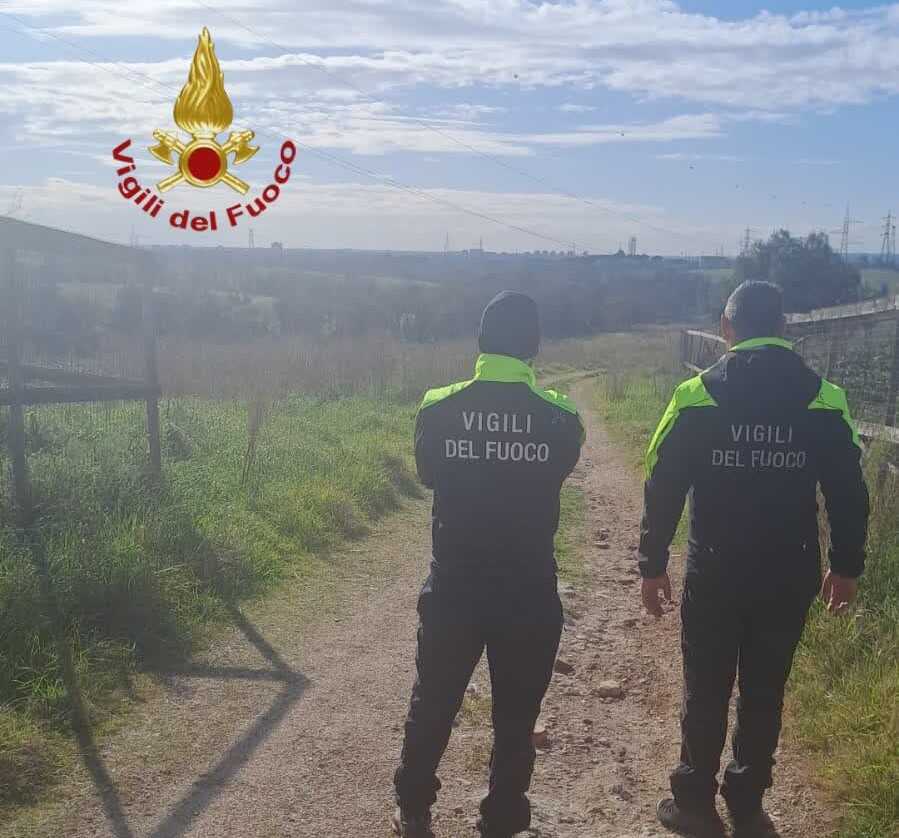 vvf vigili fuoco pompieri ricerca persona scomparsa