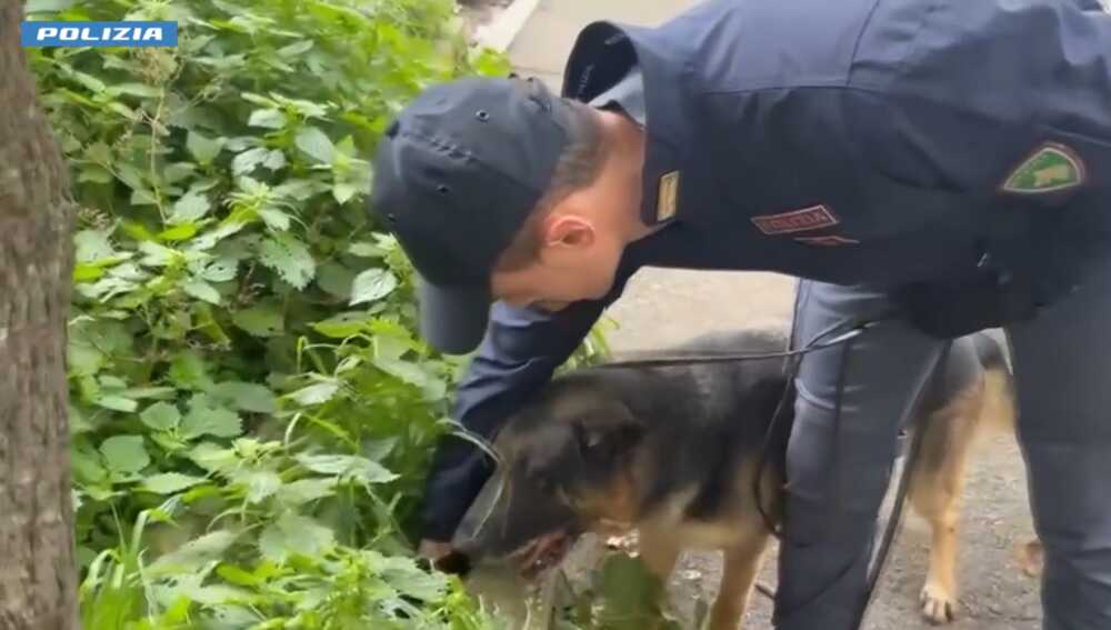 cane faro cinofili polizia
