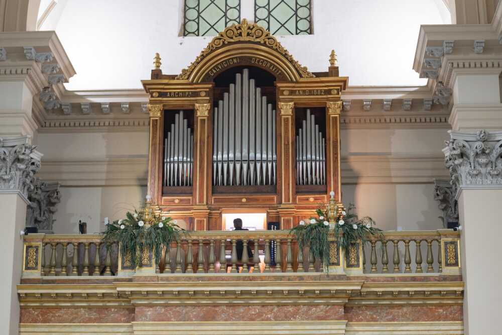 organo duomo diocesi tarquinia