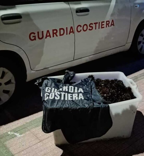 ricci guardia costiera santa marinella 1