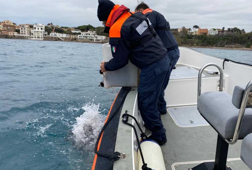 Altro maxi sequestro di ricci a Santa Marinella: denunciati tre pescatori di frodo biscegliesi