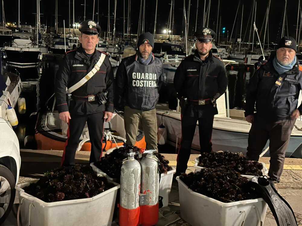 ricci santa marinella carabinieri guardia costiera notte 2